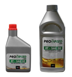 OLIO PER RASAERBA 4T SAE 30 - lt. 1 - con birra 33 cl omaggio