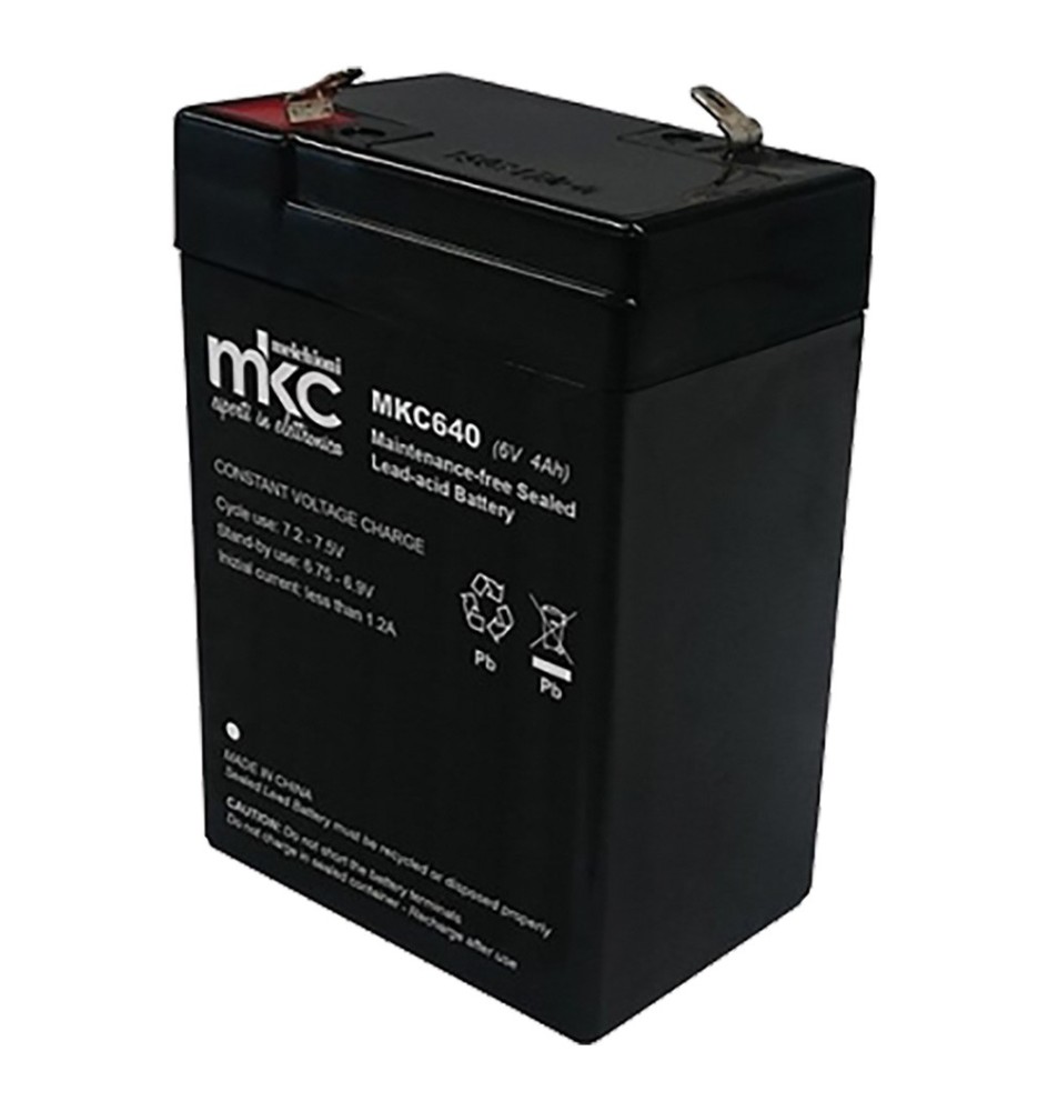 BATTERIA RICARICABILE mm.70 x 47 x h.106 - 4 Ah