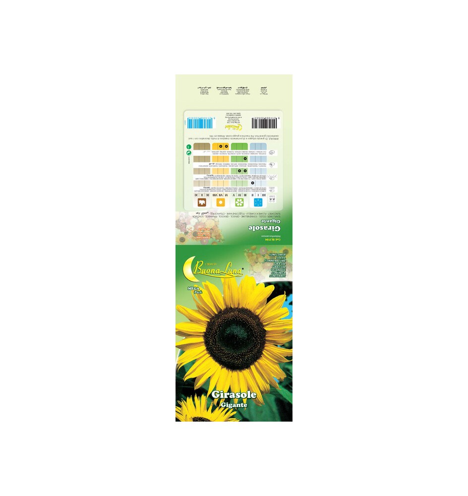 SEMI GARDEN GIRASOLE GIGANTE