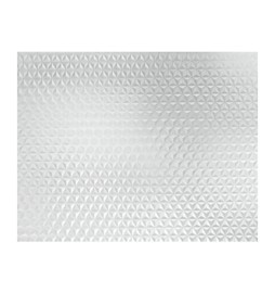 RT PLASTICA ADESIVA 280.2829 TRASPAR STEPS 2,5 M