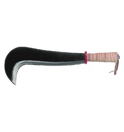 RONCOLA 'BERGAMO' cm 28