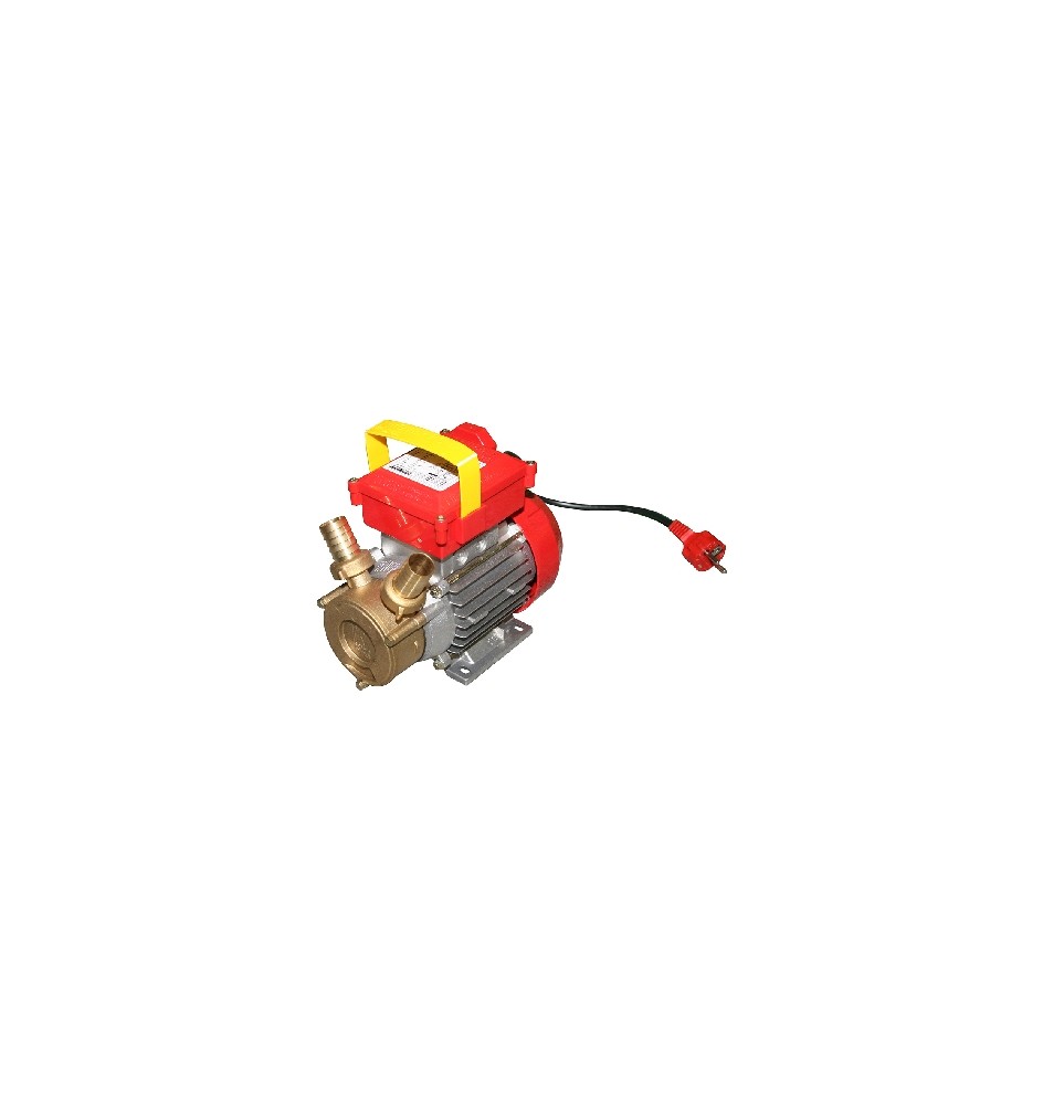 POMPA DA TRAVASO ROVER Hp 0,8 - 550 W - Racc. 25