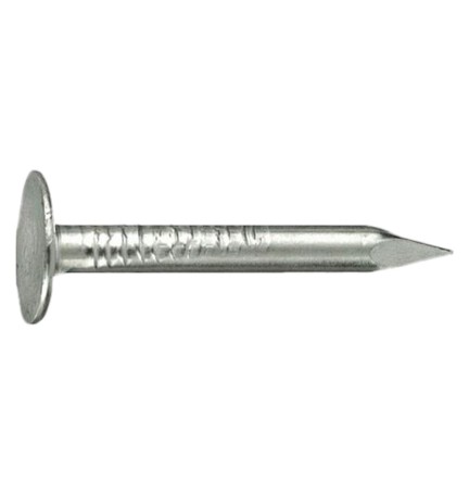 CHIODI TESTA PIANA LARGHISSIMA TPLL 17 x 30