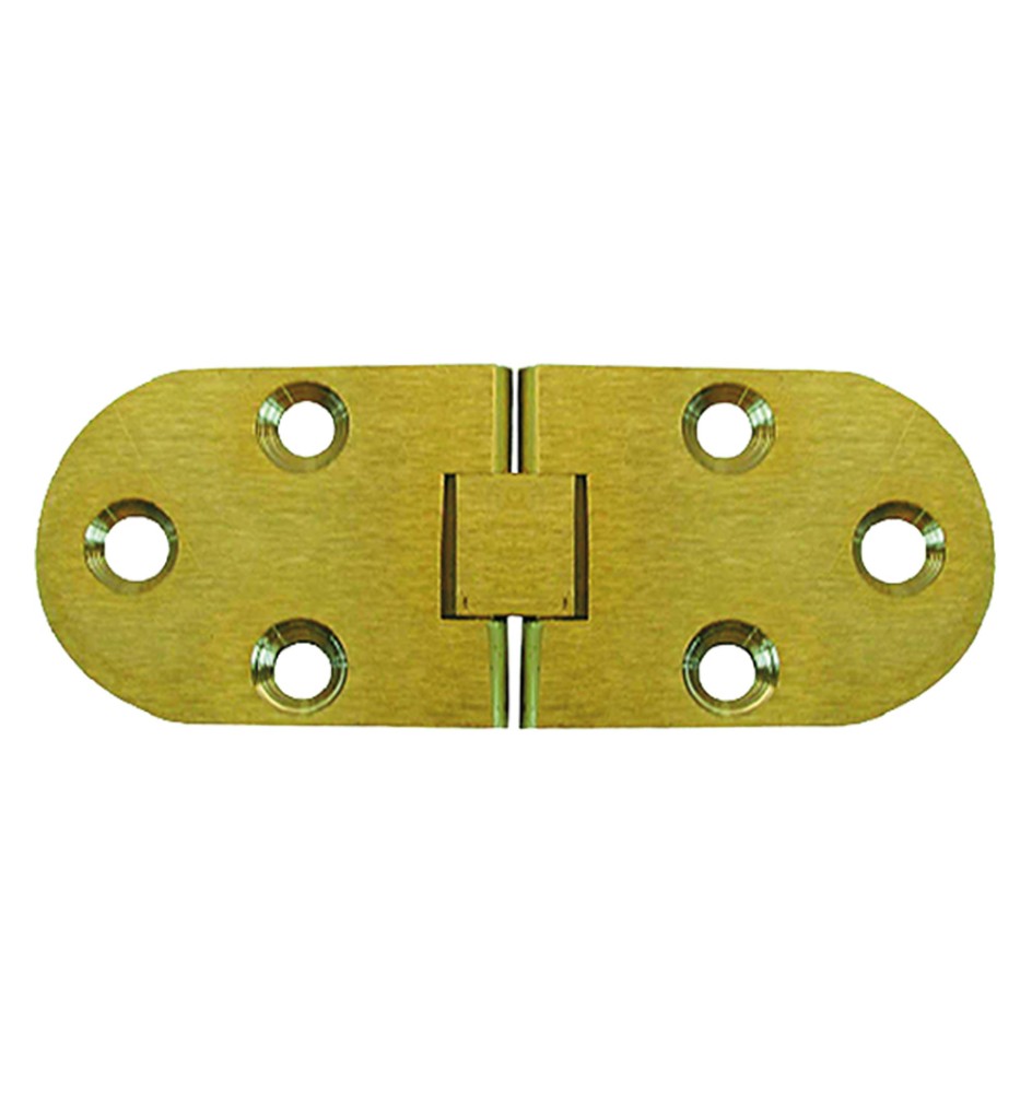 CERNIERA A BISCOTTO con fermo mm 30x80