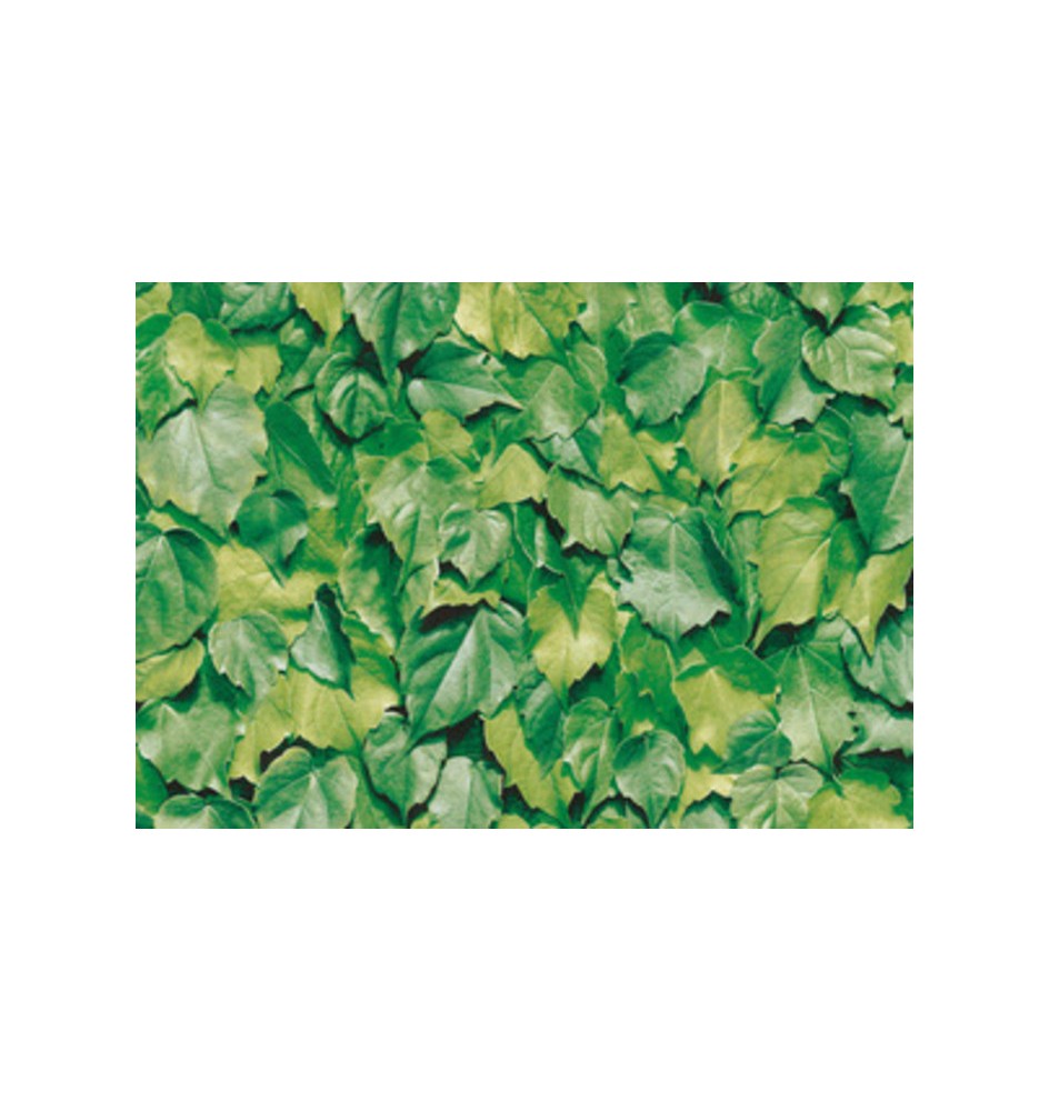 PLASTICA ADESIVA ALKOR 280.3170 FOGLIE VERDI 15 M