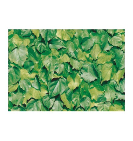 PLASTICA ADESIVA ALKOR 280.3170 FOGLIE VERDI 15 M
