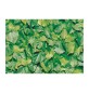 PLASTICA ADESIVA ALKOR 280.3170 FOGLIE VERDI 15 M