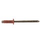 RIVETTO A STRAPPO 'RAME' 4,0 x 11 cf. 100 pz