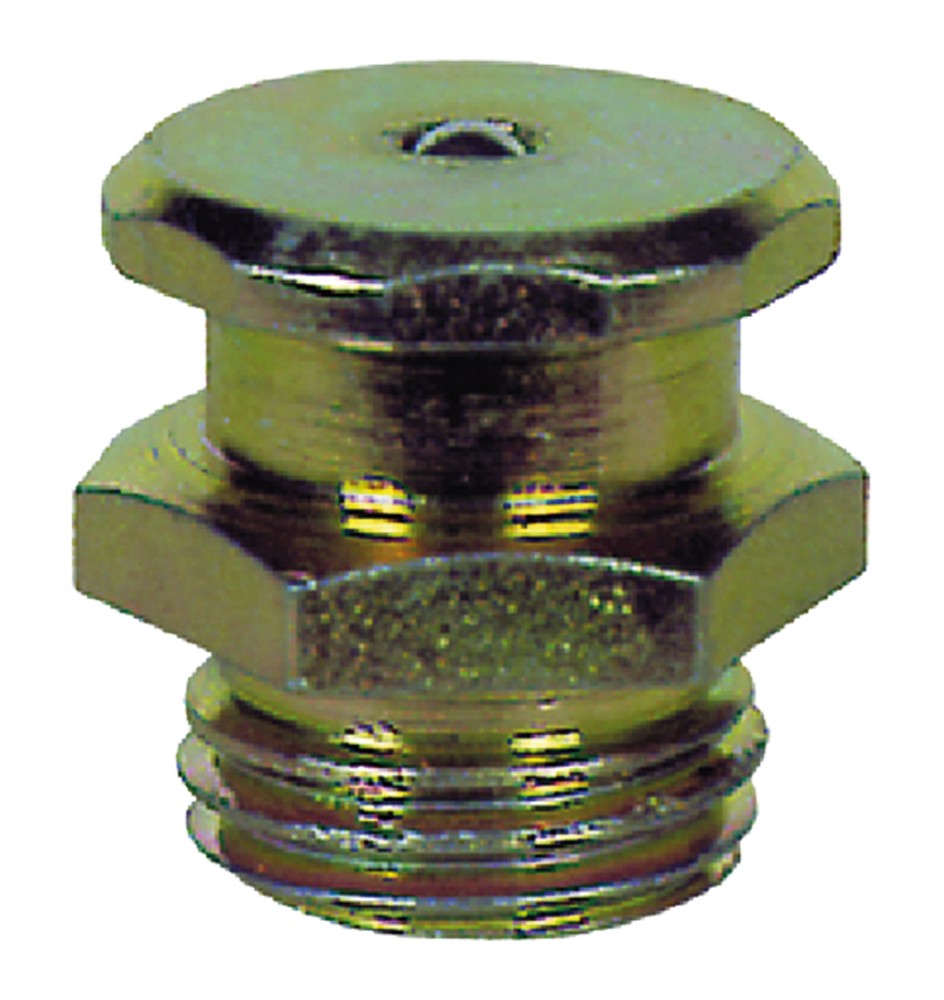 INGRASSATORE TIPO TECALEMIT 1/8