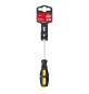 CACCIAVITE A TAGLIO 6,0 x100