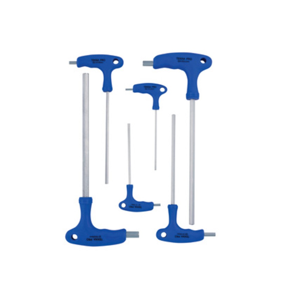 SERIE 6 CHIAVI ESAGONALI C/IMPUGNATURA D 3-10 MM