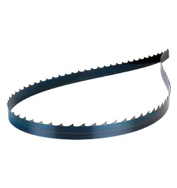 LAMA A NASTRO PER SEGATRICI LEGNO mm 1790 x 10 x 0,35 - dentat. Z6