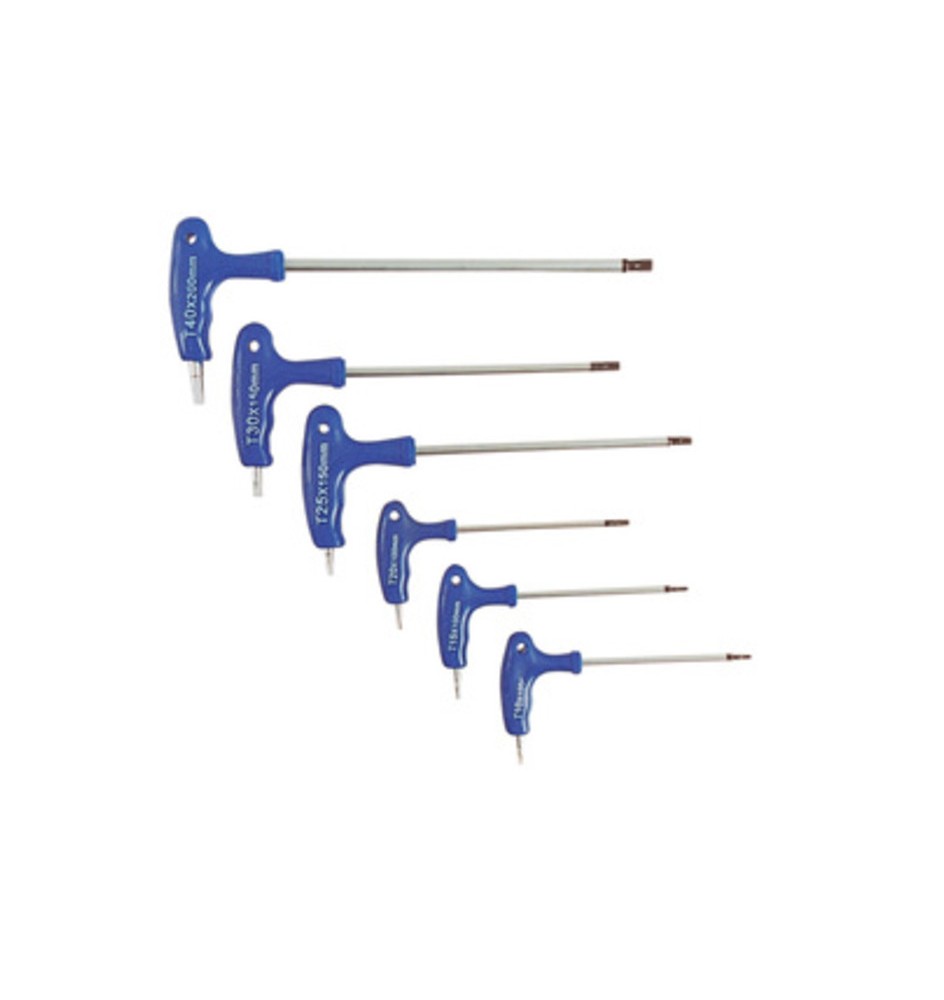 SERIE 6 CHIAVI TORX T10-T40 CR VAN C/IMPUGNATURA