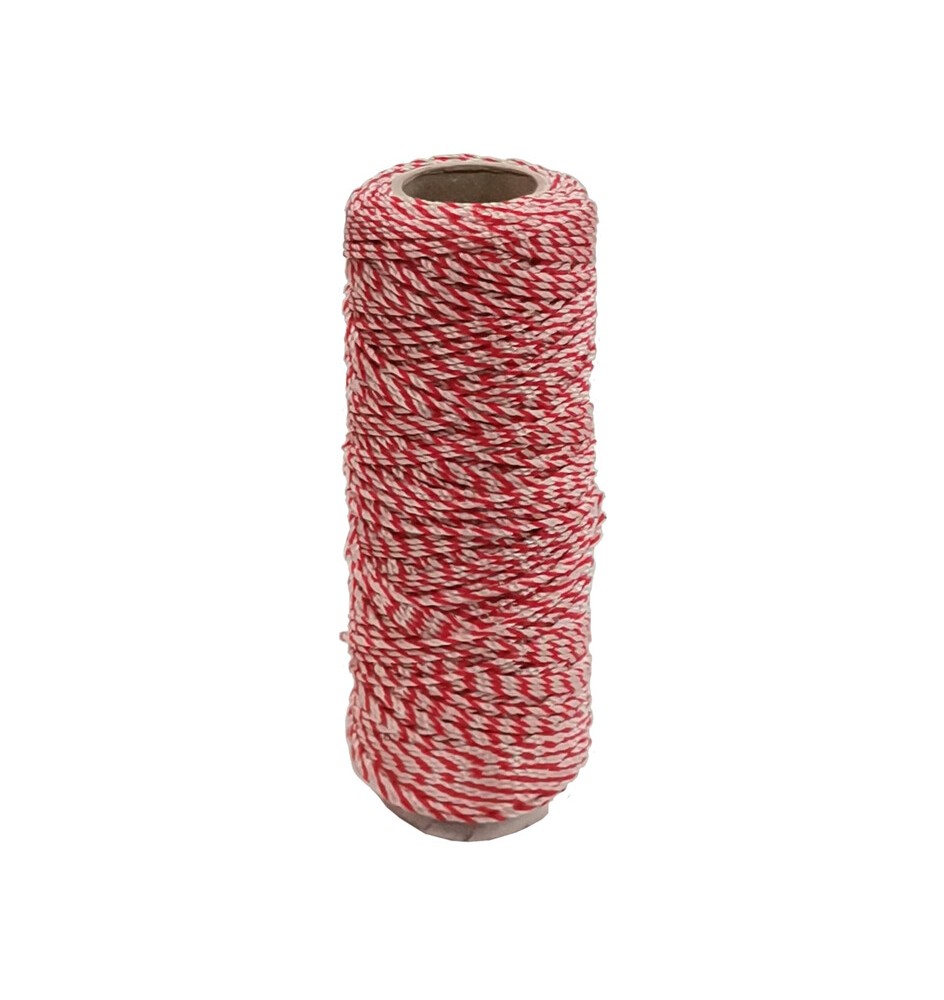 LENZA P/MURATORE IN PP BIANCO ROSSO 100 M