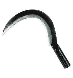 RONCOLA 'SCANSANO' cm 29