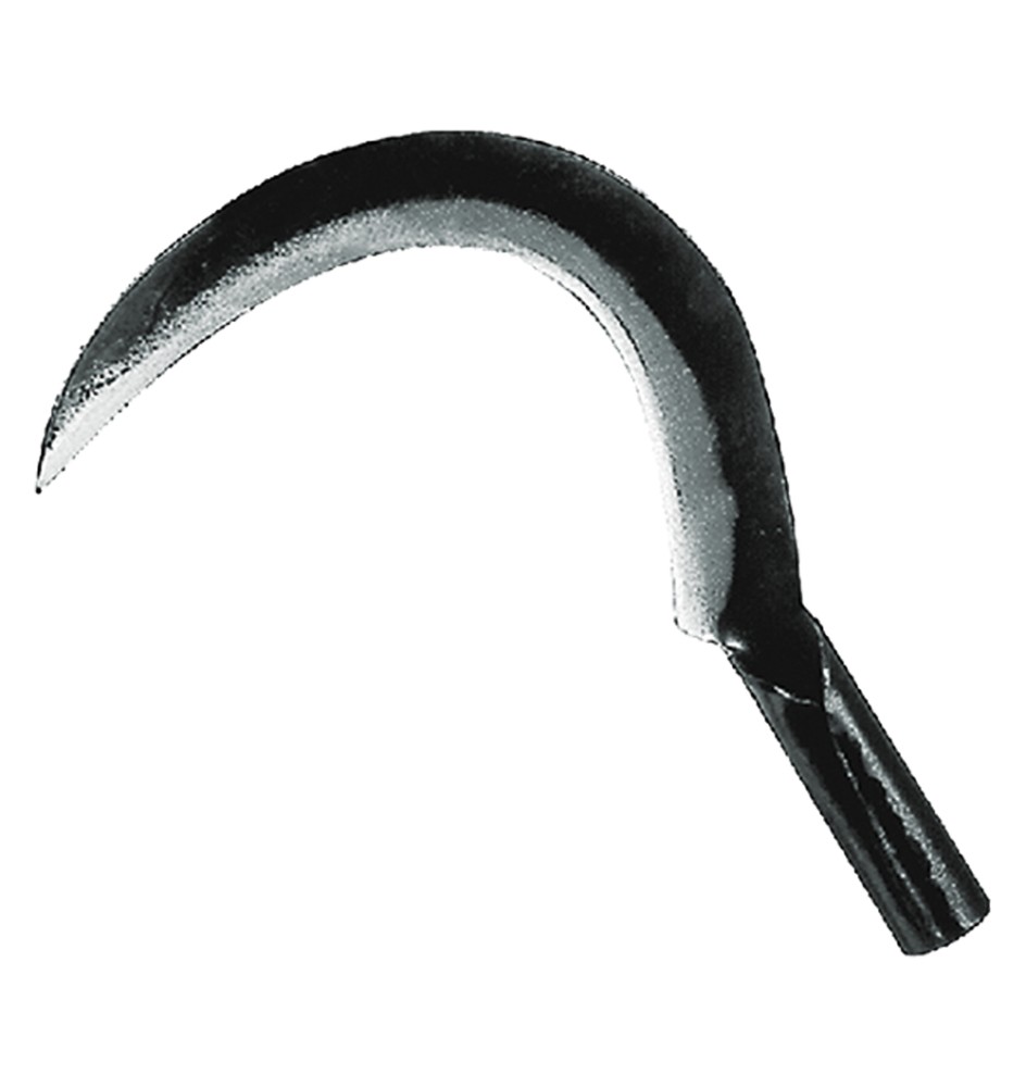 RONCOLA 'SCANSANO' cm 29