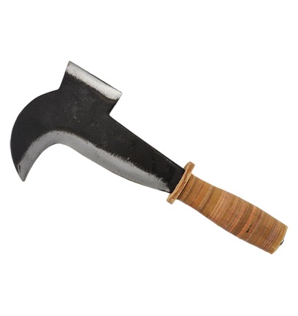 PENNATINO 'MERONE' cm 18