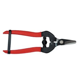 FORBICI COGLIUVA cm 16