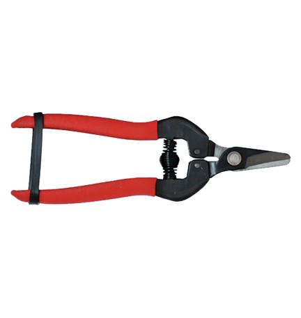 FORBICI COGLIUVA cm 16