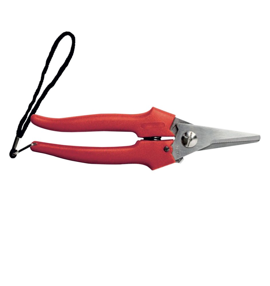 FORBICI COGLIUVA art. 31327 - cm 19