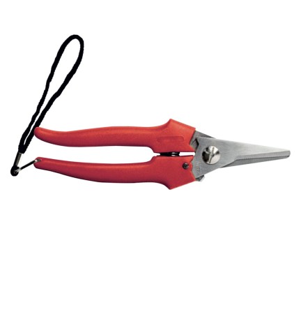 FORBICI COGLIUVA art. 31327 - cm 19