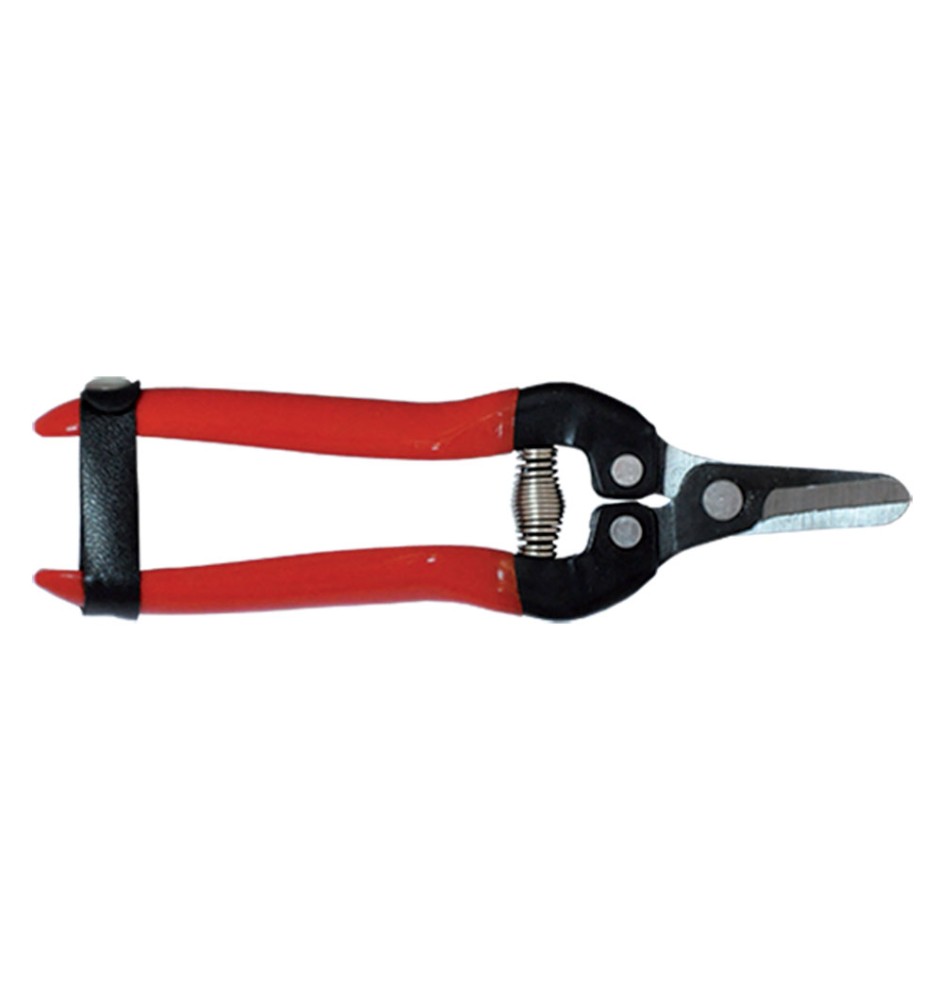 FORBICI COGLIUVA cm 16