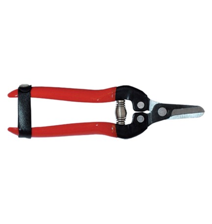 FORBICI COGLIUVA cm 16