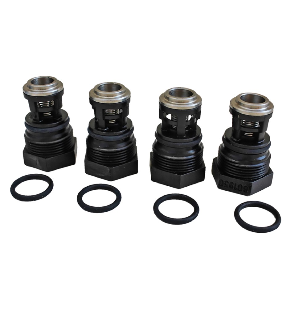 VALVOLE PER MOTOPOMPA IRRORATRICE kit 4 pezzi