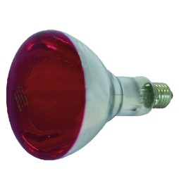 LAMPADA INFRAROSSI PER RIFLETTORE 150 W - E27