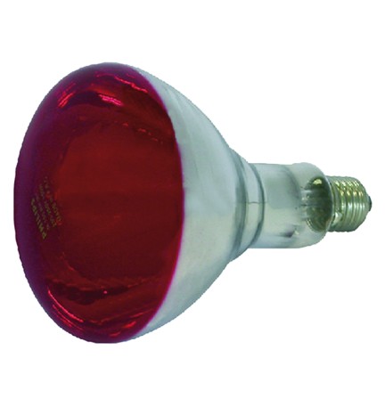 LAMPADA INFRAROSSI PER RIFLETTORE 150 W - E27