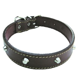 COLLARE PER CANE larg. mm 25 lung. cm 55
