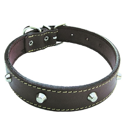 COLLARE PER CANE larg. mm 30 lung. cm 55