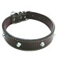 COLLARE PER CANE larg. mm 30 lung. cm 55