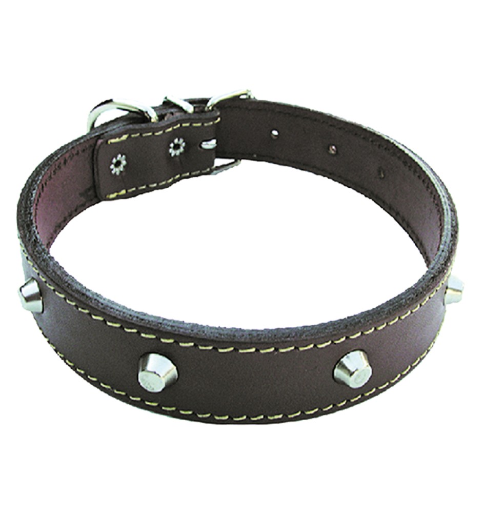 COLLARE PER CANE larg. mm 40 lung. cm 65