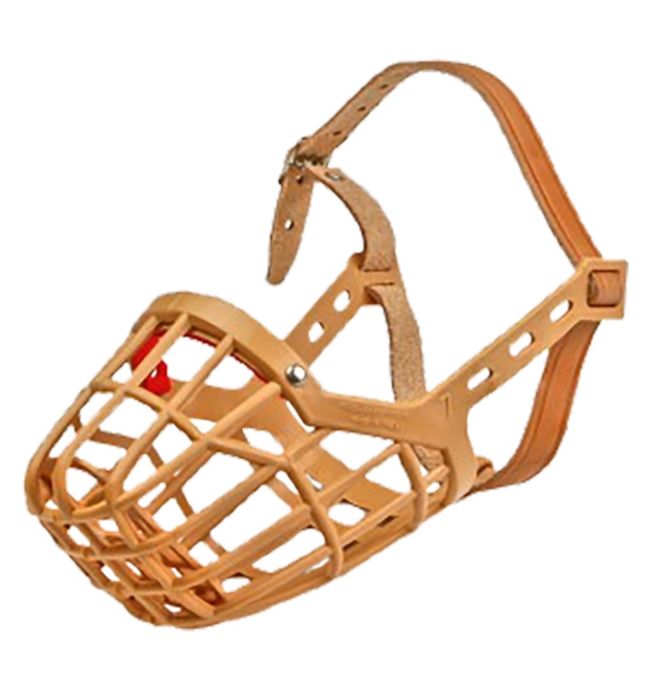 MUSERUOLA PER CANE n. 7