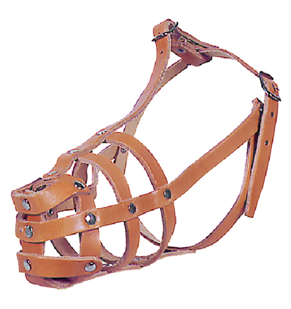 MUSERUOLA PER CANE N. 9