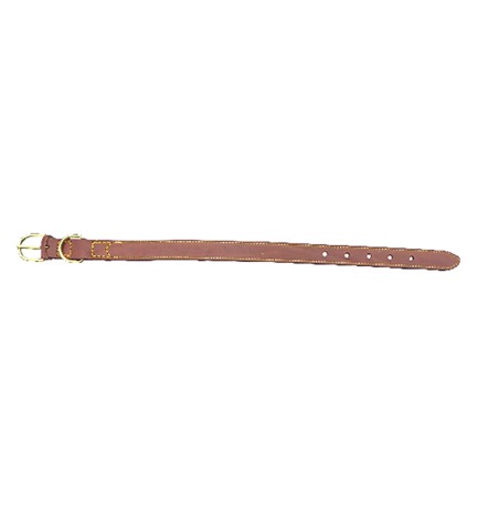COLLARE PER CANE larg. mm 25 lung. cm 56