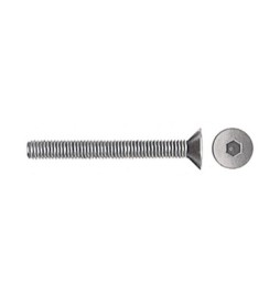 VITI P/BUSSOLA T.S.P. ESAG INCAS 6MA BRUN 40 MM**