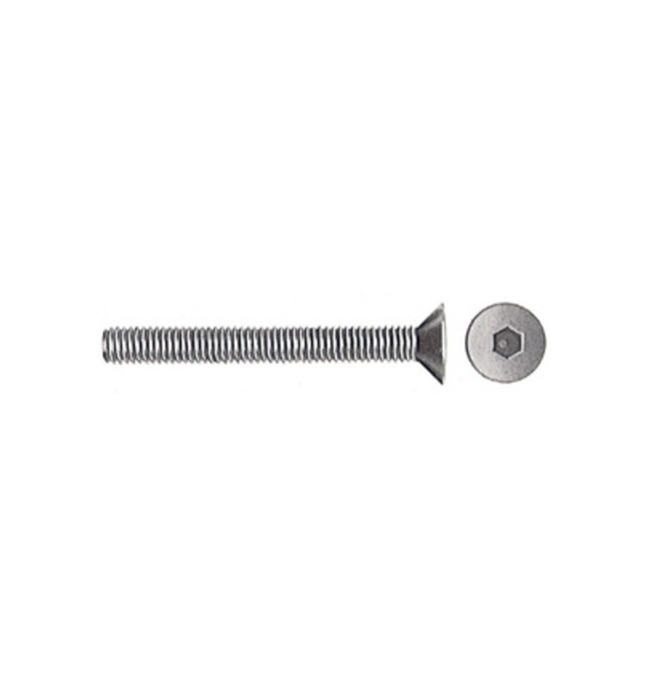 VITI P/BUSSOLA T.S.P. ESAG INCAS 8MA BRUN 40 MM
