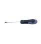 CACCIAVITE 108 TEKNA POZIDRIV PZ2 D 6,0X100 MM