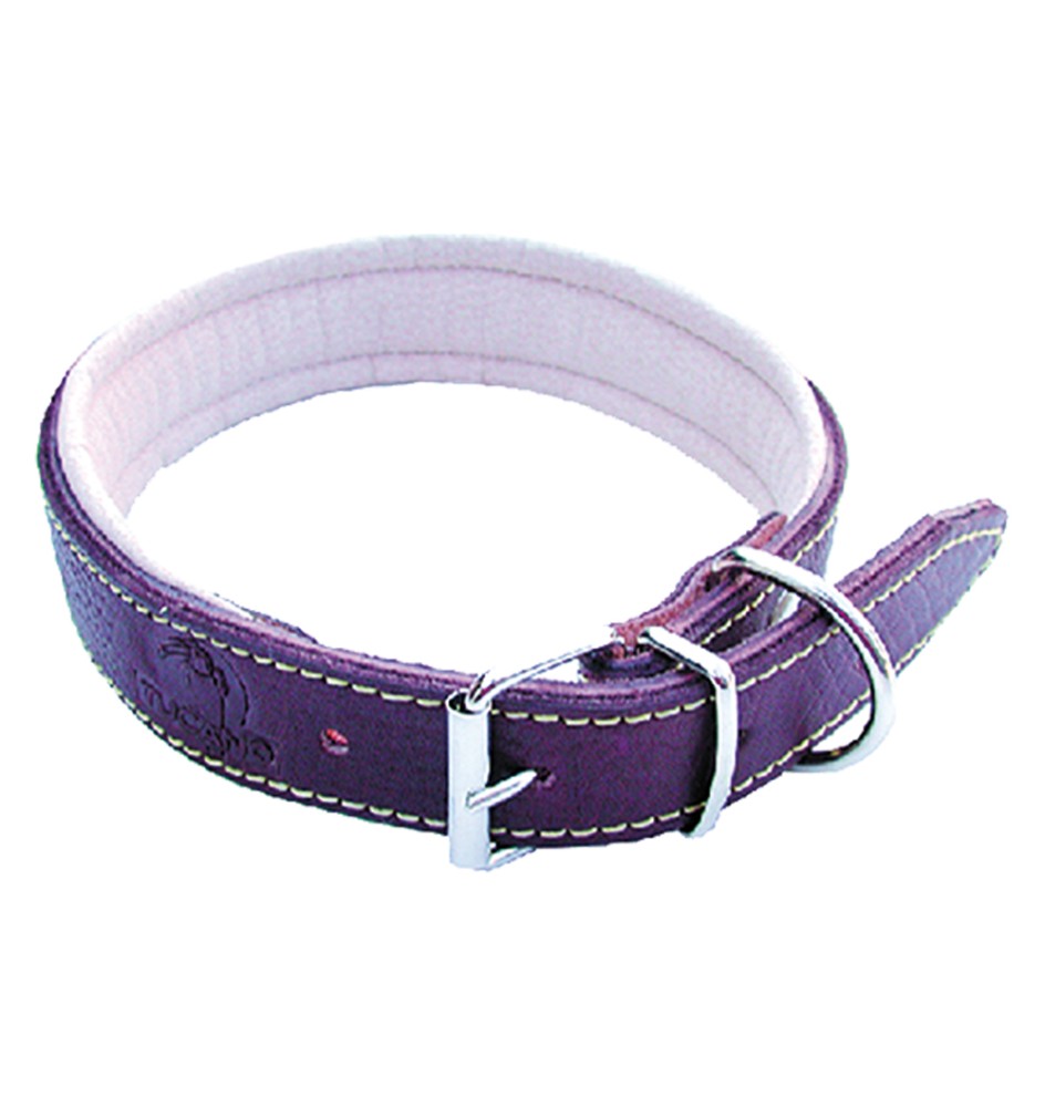 COLLARE PER CANE larg. mm 25 lung.cm 50