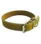 COLLARE PER CANE larg. mm 25 lung cm 50
