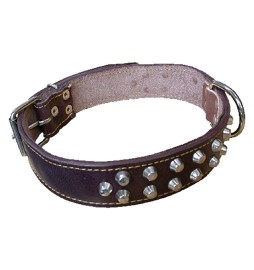 COLLARE PER CANE larg. mm 30 lung. cm 60