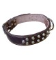 COLLARE PER CANE larg. mm 30 lung. cm 60