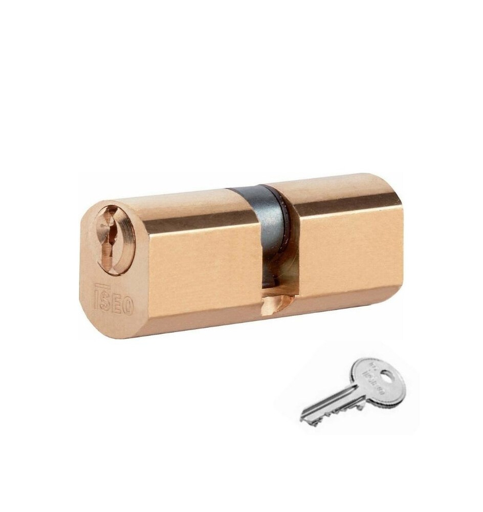 ISEO F5 8400 CILINDRO TONDO 27-27 D22 OTTONATO C/3CH