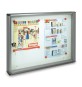BACHECA FONDO MAGNETICO ALUBOX BC2 55X5X40 ARG