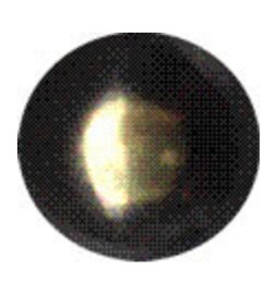BULLETTA TAPPEZZIERE LISCIA BRON SFUM 9 MM 1000 PZ*
