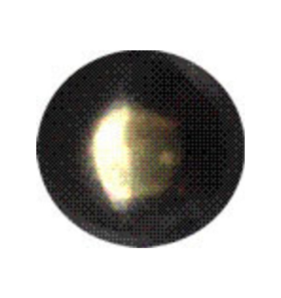 BULLETTA TAPPEZZIERE LISCIA BRON SFUM 9 MM 1000 PZ*