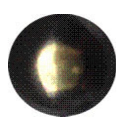 BULLETTA TAPPEZZIERE LISCIA BRON SFUM 9 MM 1000 PZ*
