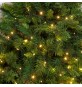 CATENA LINEARE MINILUCCIOLE A LED SERIE 'TL-C' 320 led l.calda - 14,8 mt. (12,8+2)